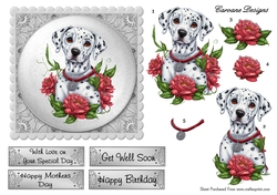 Beautiful Dalmation Puppy - 6X6 inch card front with decoupage