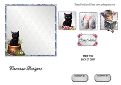 Matching insert sheet for the design sheet - Fairy Birthday 4