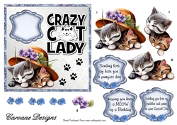 Crazy Cat Lady 8 - 6x6 inch card front with decoupage