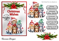 Naughty List Club 1 - 7x5 inch card front with decoupage