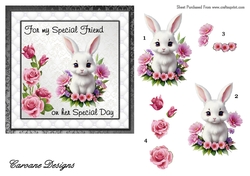 Special Friend 2 - 6x6 inch card front with decoupage