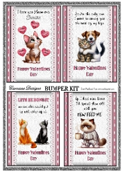 Funny Valentines Bumper Kit 97 - 9 page bumper kit - card fronts, decoupage, inserts, made by boxes, images for back of card, preview