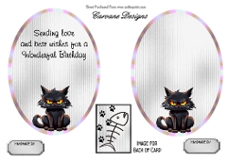 Matching insert sheet for the design sheet - Crazy Birthdays 1