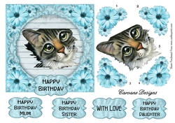 Thomas 6 - 6x6 inch card front with decoupage