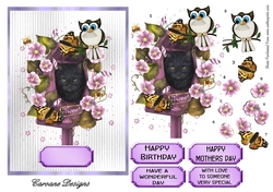 Tweety Pie 1 - A5 card front with decoupage