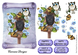Tweety Pie 2 - A5 card front with decoupage