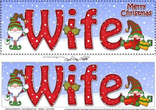 Large DL Merry Christmas WIFE 3D decoupage with Gnome insert