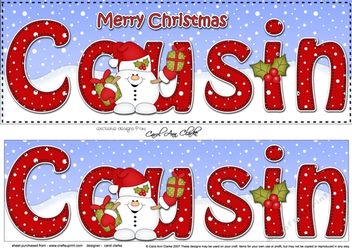 Large DL Merry Christmas COUSIN 3D decoupage with Snowball Sam 
