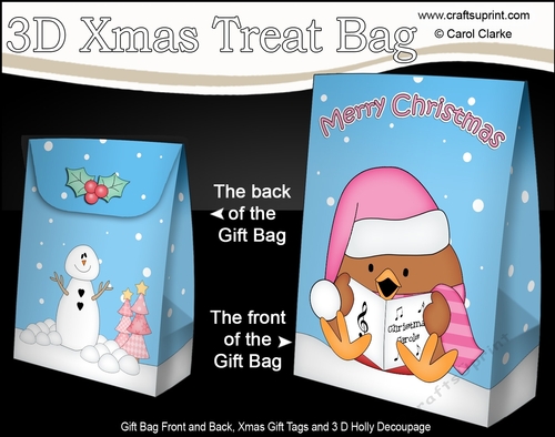 3D Christmas Gift Bag Mini Kit - Bobbin Robin is Carol Singing