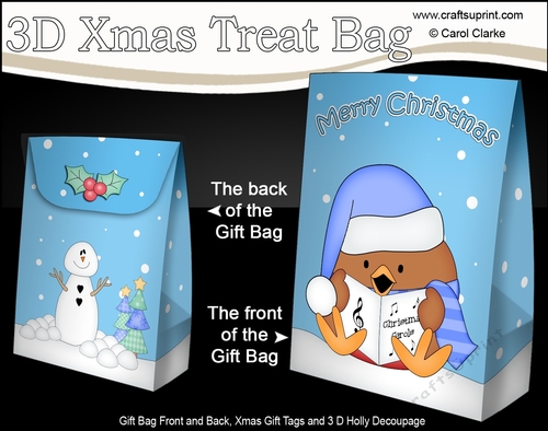 3D Christmas Gift Bag Mini Kit - Bobbin Robin is Carol Singing