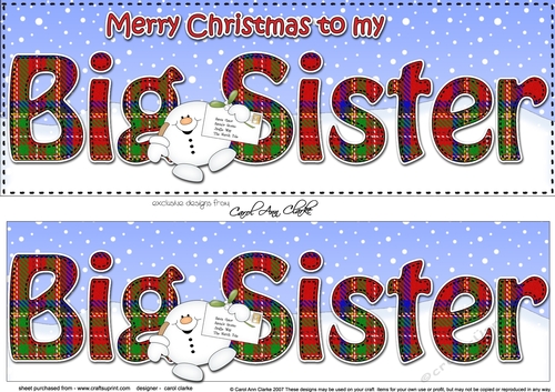 Large DL Merry Christmas to my BIG SISTER 3D decoupage with Snowball Sam
