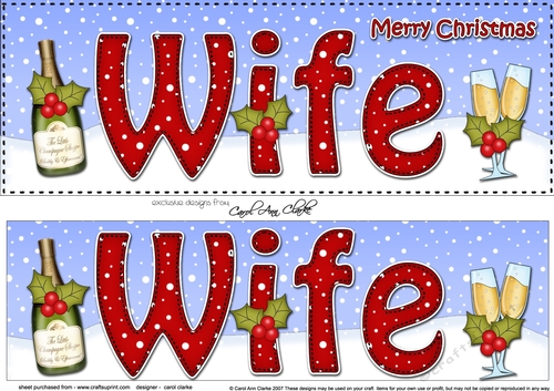 Large DL Merry Christmas WIFE with Champagne 3D decoupage 