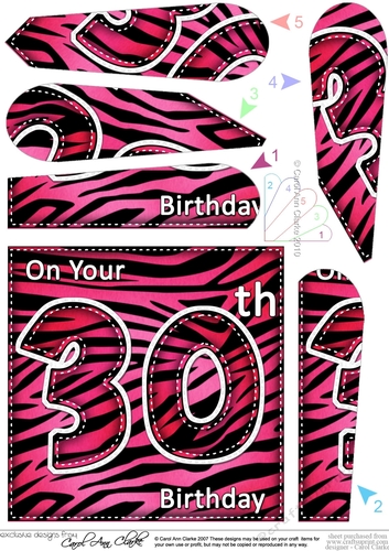 Fun Zebra Striped 30th Birthday Fan Pyramage Topper