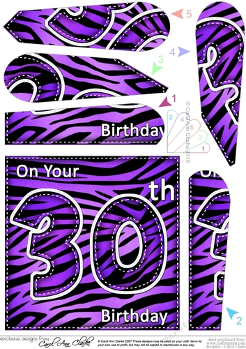 Fun Zebra Striped 30th Birthday Fan Pyramage Topper