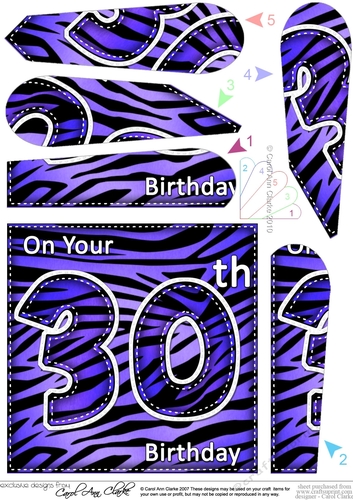 Fun Zebra Striped 30th Birthday Fan Pyramage Topper