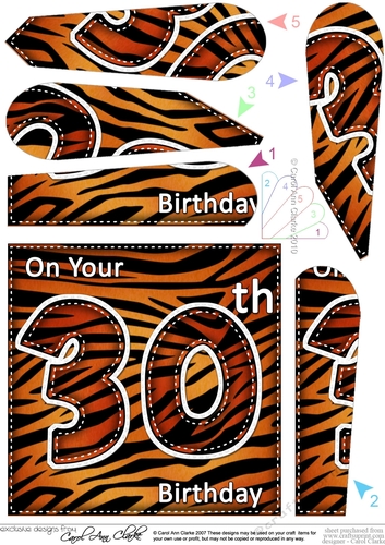 Fun Zebra Striped 30th Birthday Fan Pyramage Topper