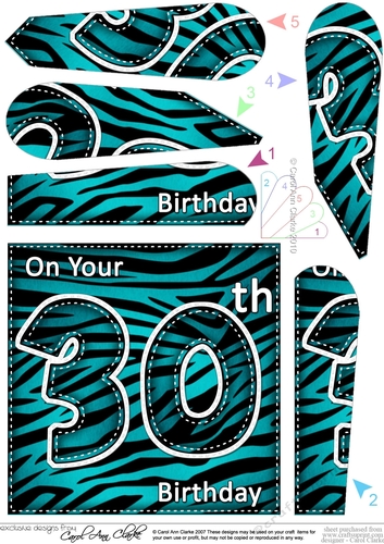 Fun Zebra Striped 30th Birthday Fan Pyramage Topper