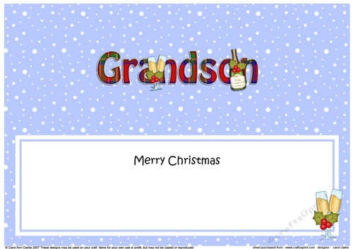 Large DL Merry Christmas GRANDSON insert with Champagne