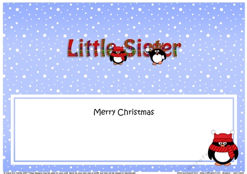 Large DL Merry Christmas LITTLE SISTER insert with Tartan Penguins