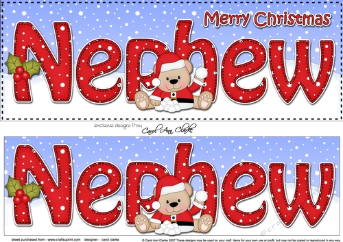 Large DL Merry Christmas NEPHEW 3D decoupage with Teddies