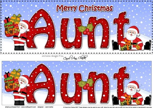 Large DL Merry Christmas AUNT with Santa 3D decoupage 