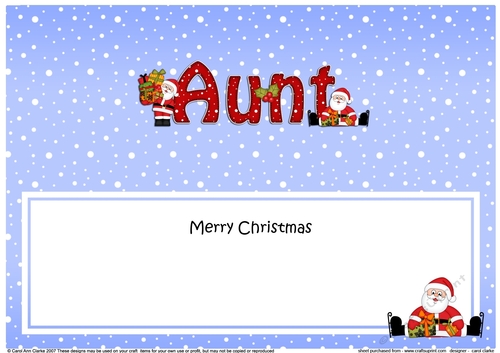 Large DL Merry Christmas AUNT with Santa insert