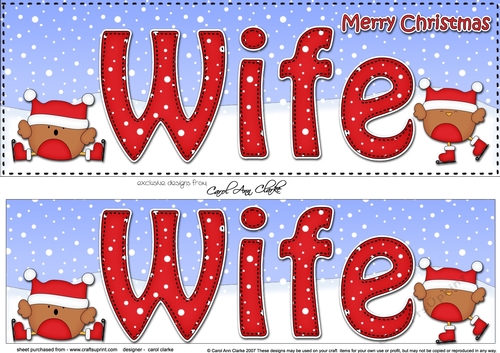 Large DL Merry Christmas WIFE 3D decoupage with Bobbin Robin