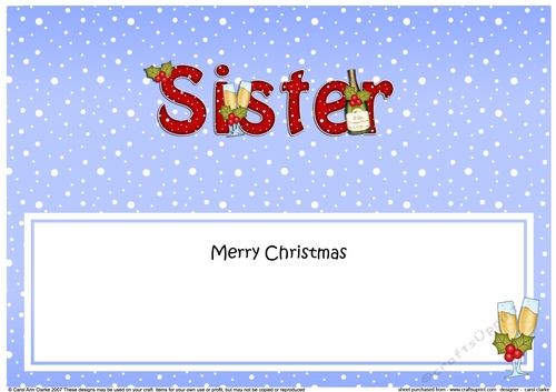 Large DL Merry Christmas SISTER with Champagne insert