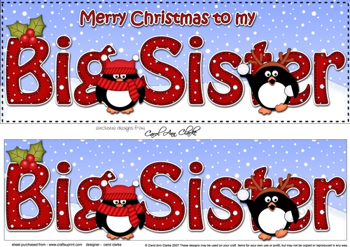 Large DL Merry Christmas to my BIG SISTER 3D decoupage with Penguins