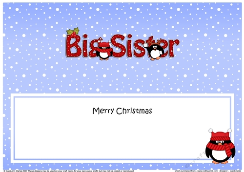 Large DL Merry Christmas BIG SISTER insert with Penguins