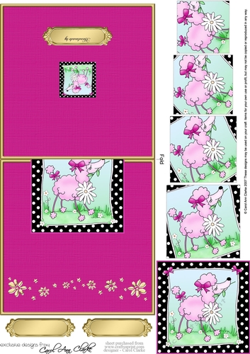 Cute Little Poodle - No-Hole Over the Edge with a spiral pyramid