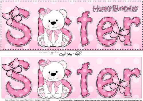 Large DL Happy Birthday SISTER 3D decoupage with Livvy Bear