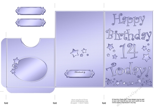 Elegant Metallic 14th Birthday Lottery Wallet Card
