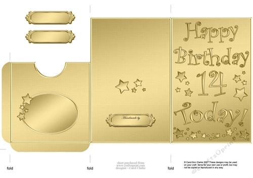 Elegant Metallic 14th Birthday Lottery Wallet Card