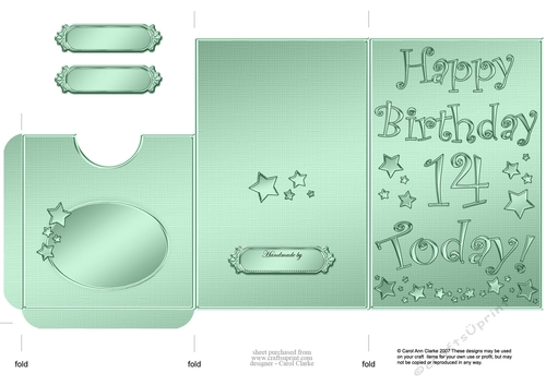 Elegant Metallic 14th Birthday Lottery Wallet Card