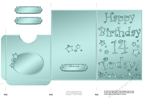 Elegant Metallic 14th Birthday Lottery Wallet Card