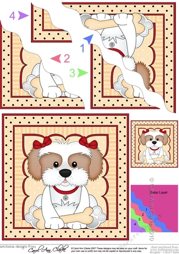 Wavey Corner Stacker - Cute Little Cavachon Dog