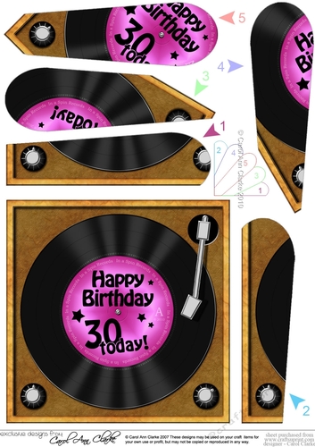 Happy Birthday 30 Today! Vinyl Record - Fan Pyramage Topper