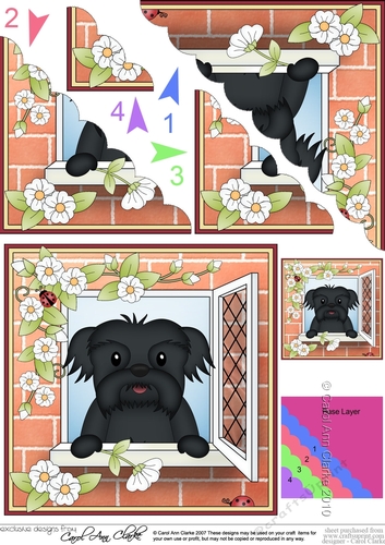 Scalloped Corner Stacker - Through the Window - Little Shih Tzu Dog