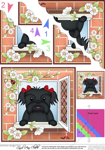 Scalloped Corner Stacker - Through the Window - Little Shih Tzu Dog