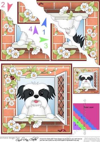 Scalloped Corner Stacker - Through the Window - Little Shih Tzu Dog