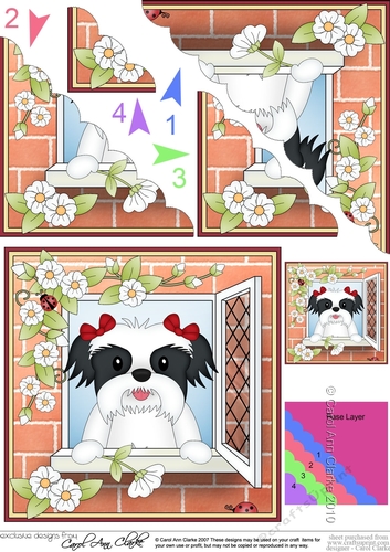 Scalloped Corner Stacker - Through the Window - Little Shih Tzu Dog