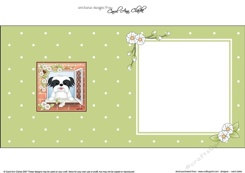 Square landscape insert - Through the Window - Little Shih Tzu Dog