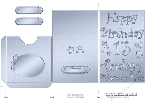 Elegant Metallic 15th Birthday Lottery Wallet Card