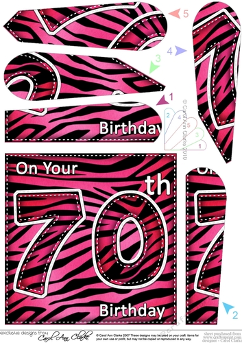 Fun Zebra Striped 70th Birthday Fan Pyramage Topper