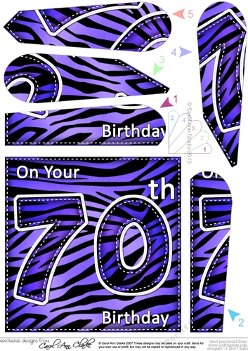 Fun Zebra Striped 70th Birthday Fan Pyramage Topper