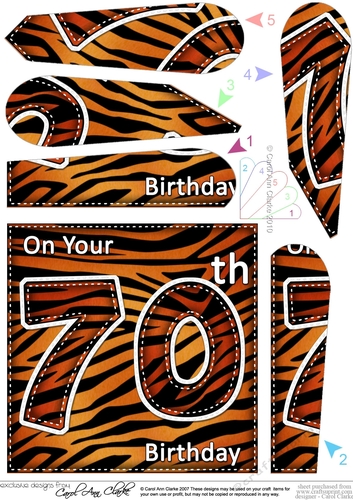 Fun Zebra Striped 70th Birthday Fan Pyramage Topper