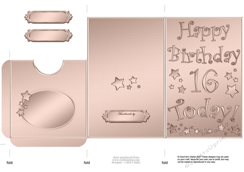 Elegant Metallic 16th Birthday Lottery Wallet Card