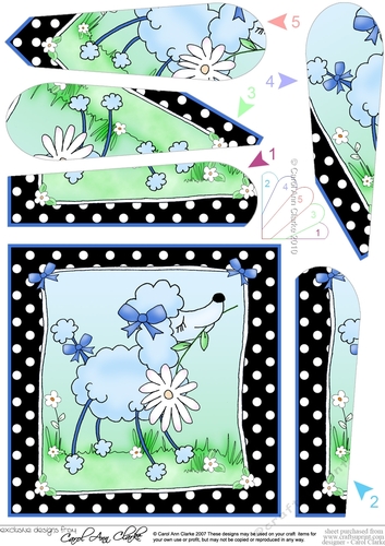 Cute Little Poodle Quick Card with Fan Pyramage Topper