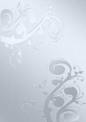 Elegant Metallic Matching Vellum